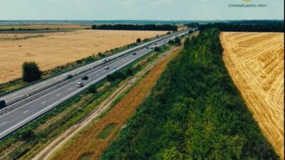 ​De ce au apărut sute de mii de duzi, măceși și vișini turcești pe marginea Autostrăzii Soarelui