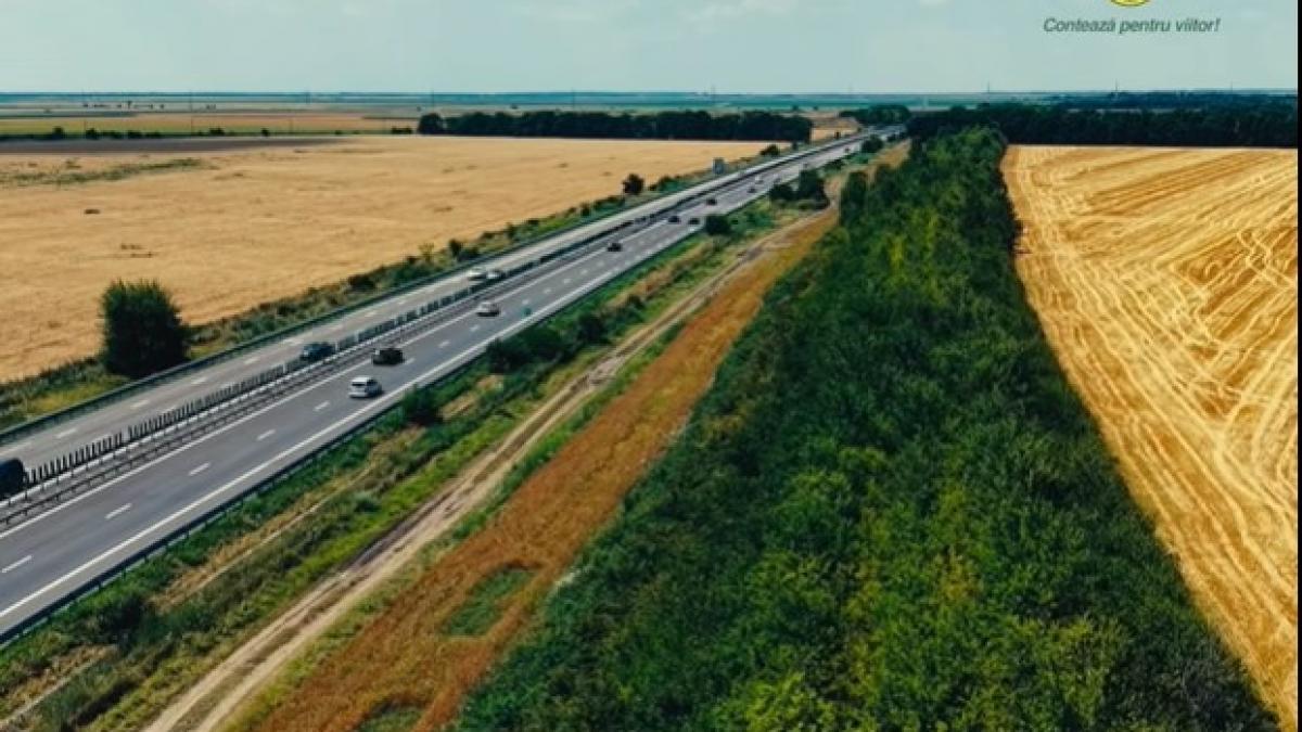 ​De ce au apărut sute de mii de duzi, măceși și vișini turcești pe marginea Autostrăzii Soarelui
