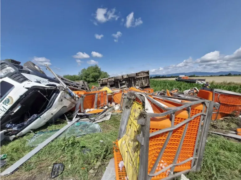 ACCIDENT ÎNFIORĂTOR! Camion PLIN cu păsări răsturnat! Zeci de CURCANI au invadat șoseaua! TRAFICUL dat peste cap!