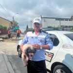 Gest de omenie la Pitești! Un polițist a alergat sute de metri după un câine pentru a-l salva! Familia i-a mulțumit public