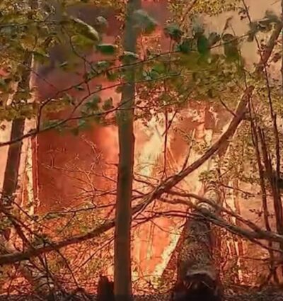 ALERTĂ! Incendii PUTERNICE de vegetație. Pompierii LUPTĂ contracronometru cu FLĂCĂRILE extinse