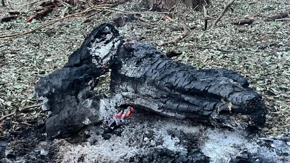 ULTIMĂ ORĂ! Încă o DRONĂ descoperită la Tulcea. MAPN e în ALERTĂ maximă