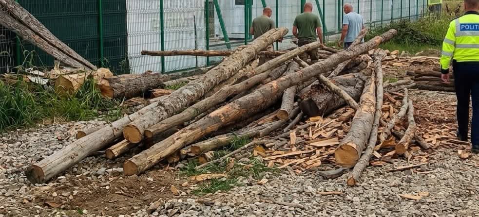 POLIȚIȘTII au descins. Material LEMNOS confiscat și SANCȚIUNE de 5.000 de lei