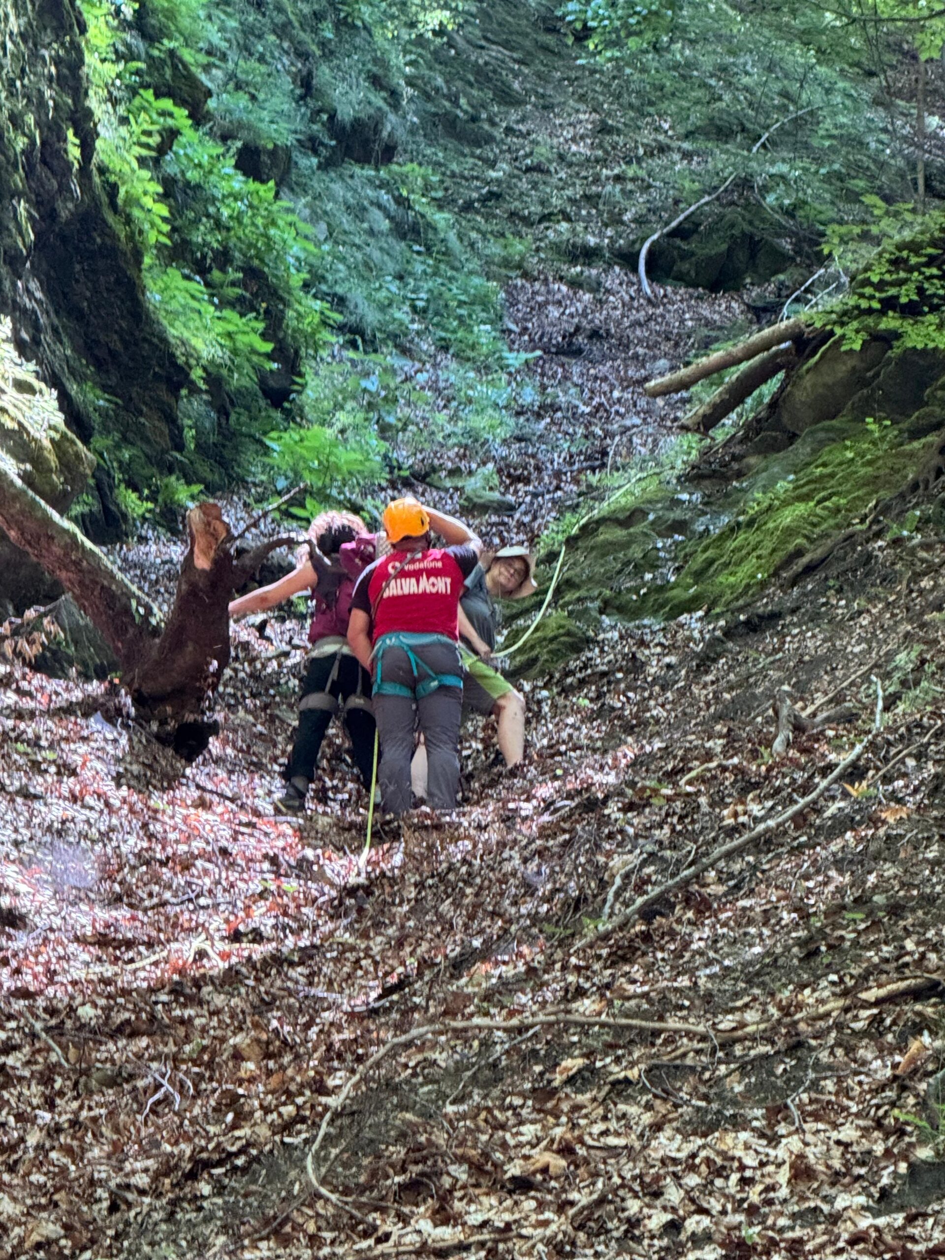 VIDEO! Turistele de la Cascada Vâlsan au fost coborate până la mașină