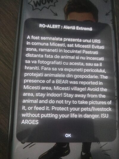 ALERTĂ ÎN ARGEȘ! Ursul a ajuns din nou printre oameni. RO-ALERT, emis în Micești