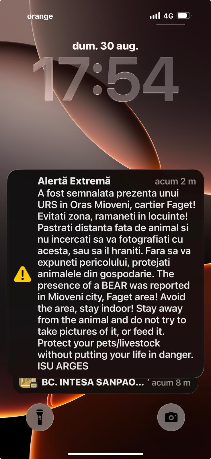 🚨 ALERTĂ LA FĂGET: URS SEMNALAT ÎN ZONĂ! AUTORITĂȚILE AVERTIZEAZĂ POPULAȚIA