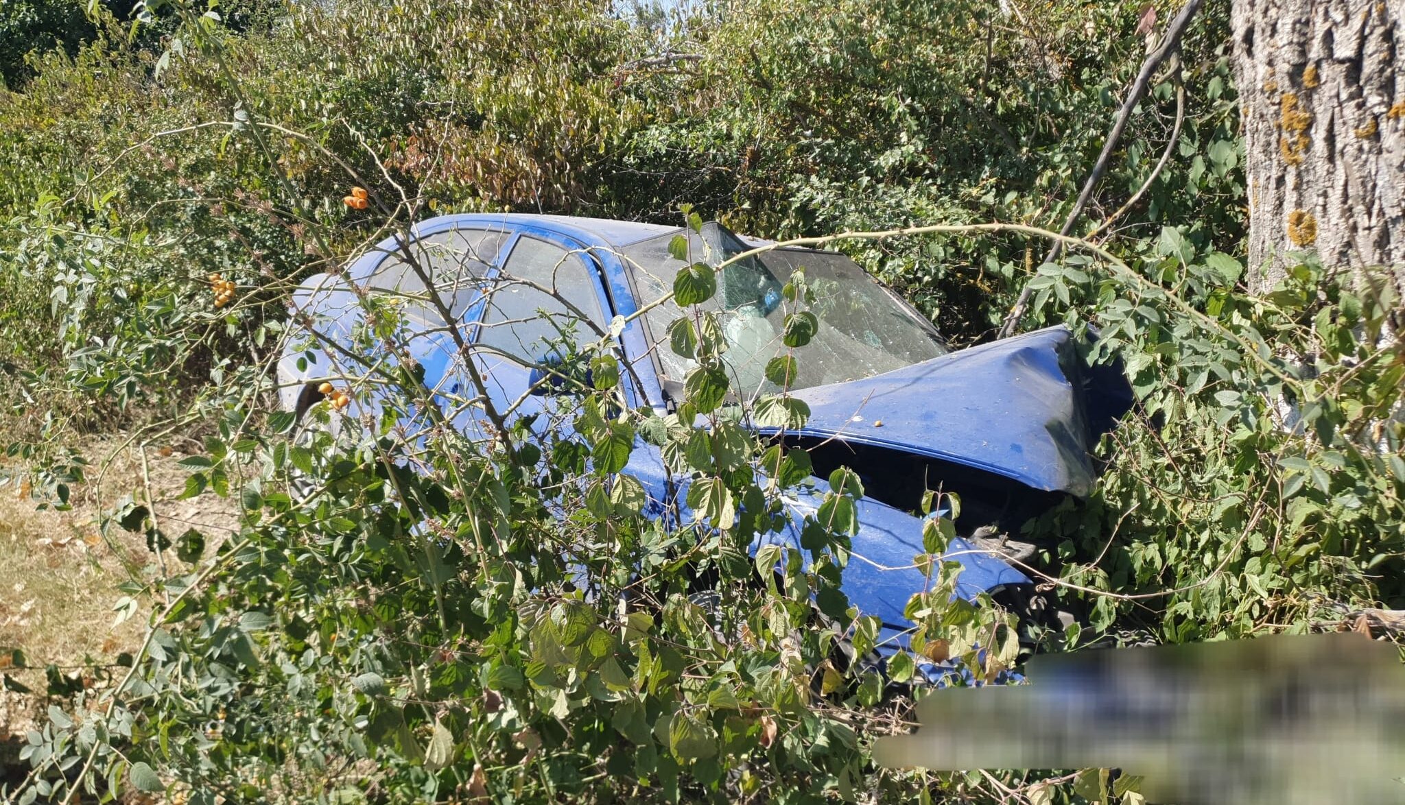 ACUM. Accident ÎNFIORĂTOR în Argeș, la Mozăceni! A zburat cu mașina în copac!