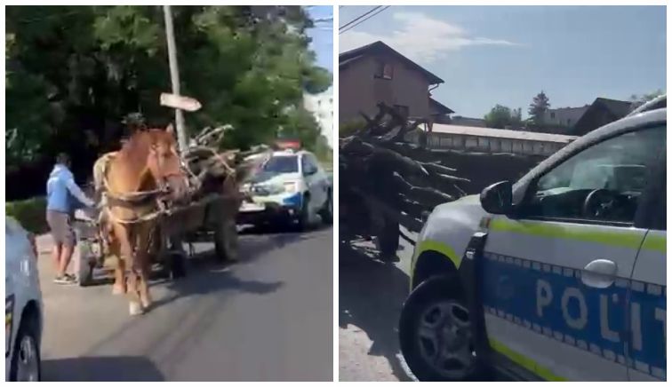 IREAL! Căruță cu lemne în Centrul Piteștiului! Poliția a pus STOP „transportului”. VIDEO!