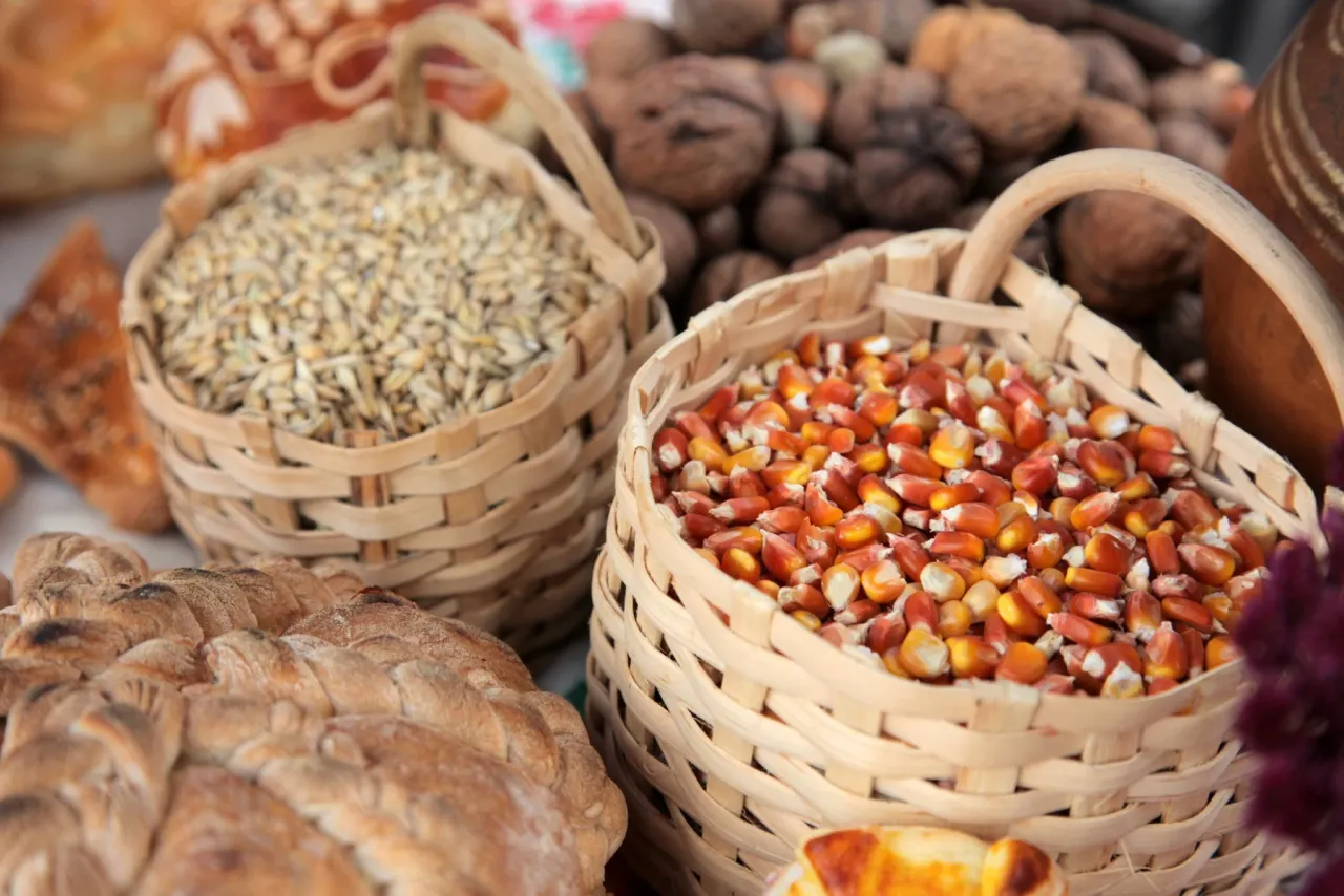 ȘOC pe piața cerealelor! Porumbul și grâul ating maxime de peste trei ani. America și Marea Neagră zguduie prețurile
