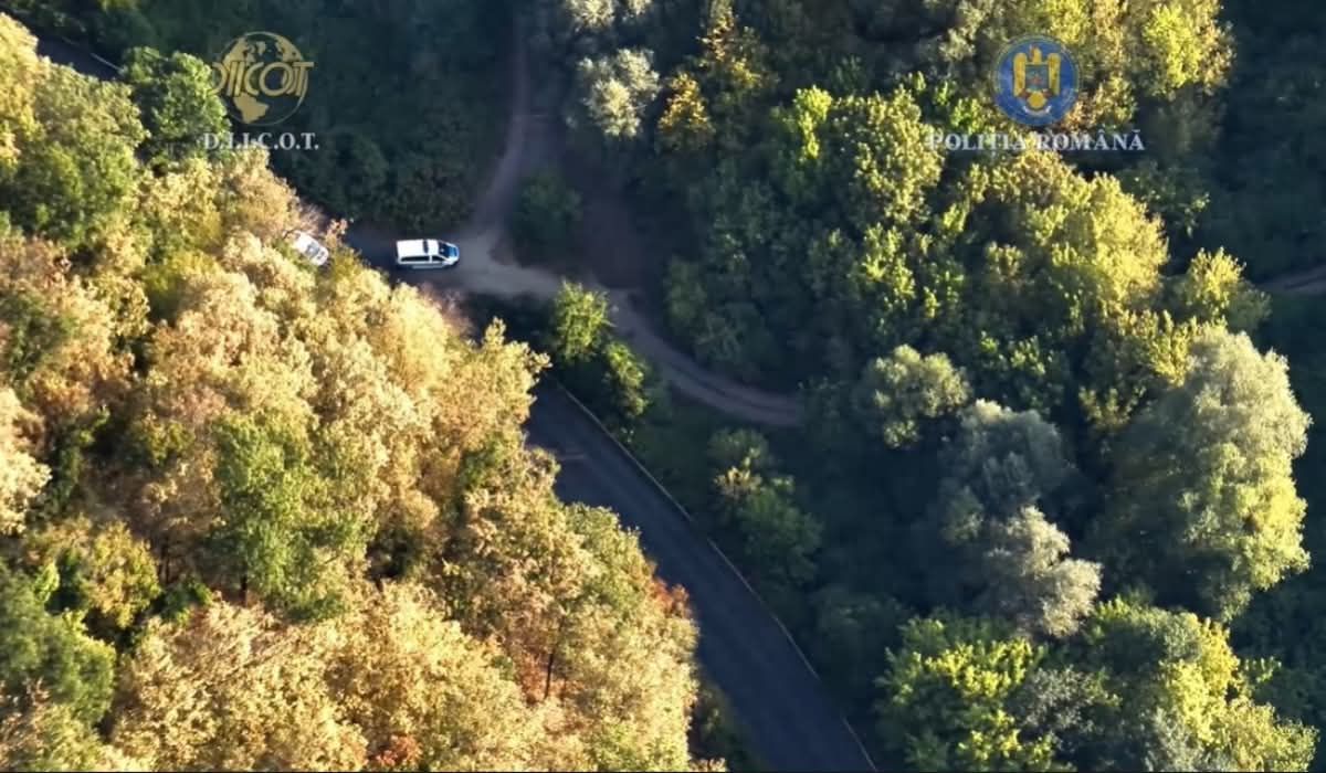Cultură ILEGALĂ de CANABIS pe malul Mureșului DESCOPERITĂ de polițiști. Doi BĂRBAȚI au ajuns în AREST
