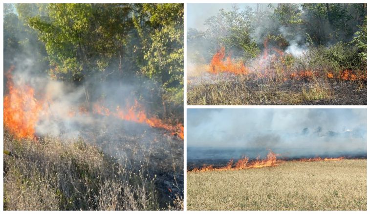 ALERTĂ! ARGEȘUL pârjolit de FLĂCĂRI! INCENDIILE VIOLENTE au distrus hectare întregi!