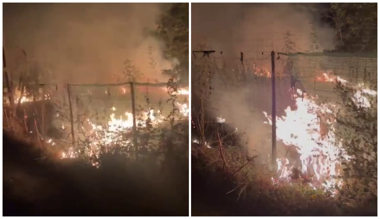 Noapte de foc la Hârsești! Flăcările au mistuit mii de metri pătrați de vegetație. Copiii și părinții lor au luptat cu incendiul până la sosirea pompierilor!