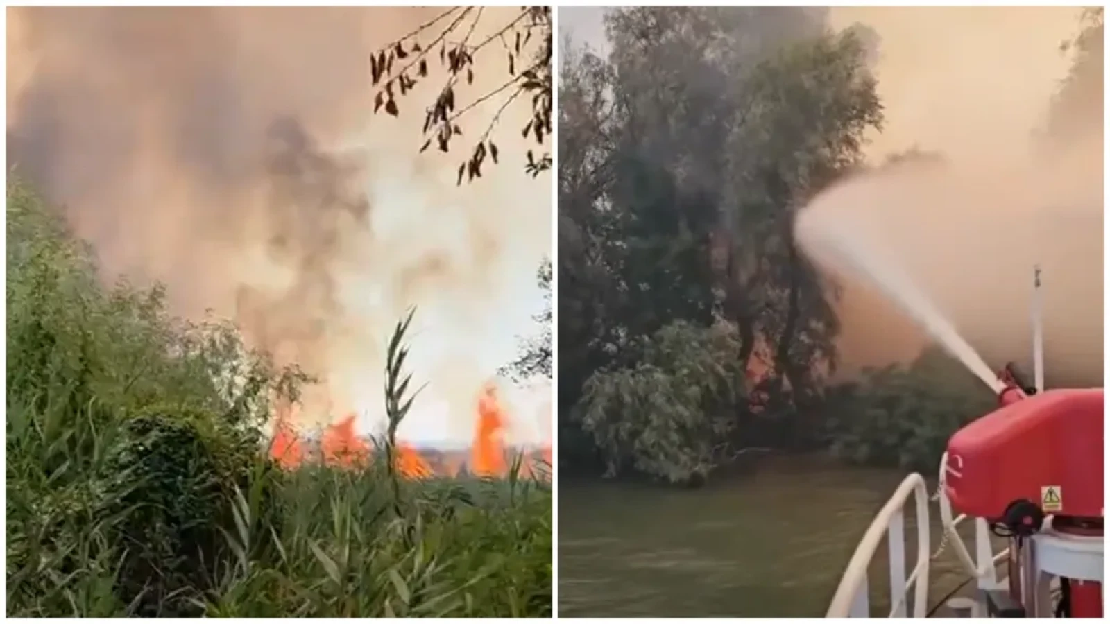 ACUM! INCENDIU devastator în DELTA DUNĂRII! ARD peste 700 de HECTARE!