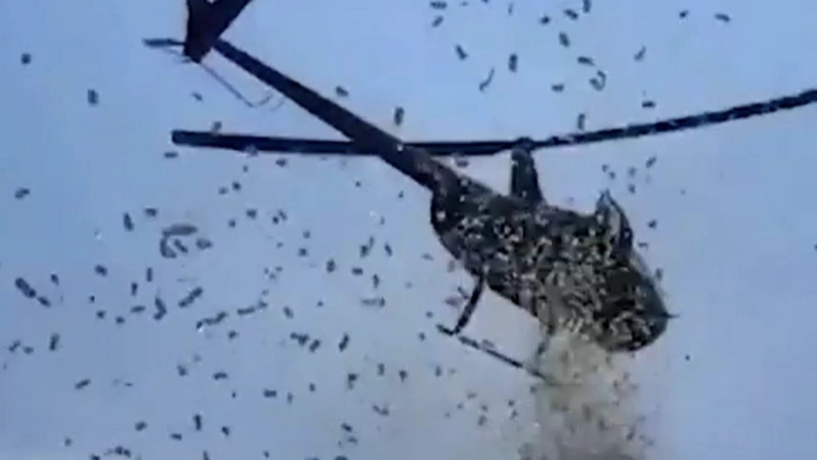 Elicopter privat, aterizare-surpriză într-un club de fițe! Hainele și telefoanele clienților au fost spulberate de curenții de aer. Poliția a deschis dosar penal!
