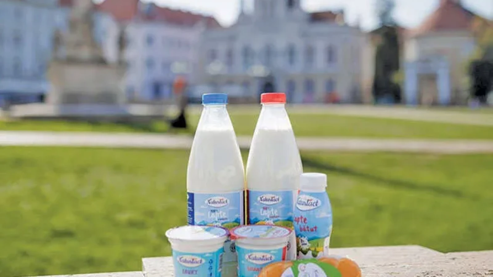INCREDIBIL! SUCCES în străinătate, refuz în România. POVESTEA brandului românesc de lactate care cucerește străinii, dar nu-și găsește locul pe rafturile marilor magazine!