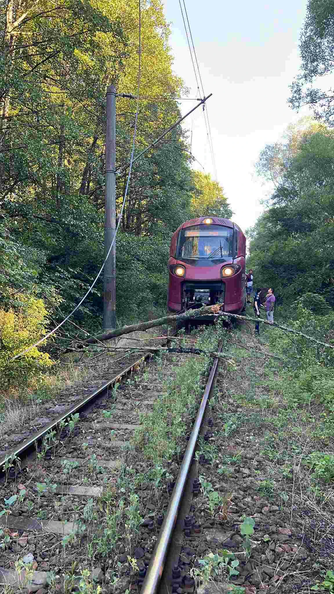Duminica neagră la CFR: patru incidente feroviare. Alt copac a căzut pe linia de contact