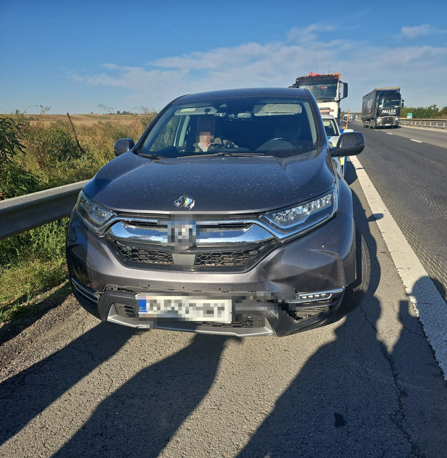 ACUM. Accident GRAV pe A1, la km 96! Porc SPULBERAT de mașină! 