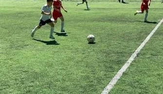 ARGEȘ. BĂTAIE ca-n codru între doi FOTBALIȘTI! Scene ȘOCANTE la un meci de fotbal!
