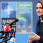 SCANDAL LA PARLAMENT! „AU VOTAT CU DOUĂ MÂINI” PENTRU OANA ȚOIU! VOTUL A FOST RELUAT