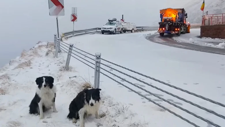 IMAGINI DE IARNĂ PE TRANSFĂGĂRĂȘAN! A nins abundent în zona Bâlea Lac! Șoferii sunt avertizați! VIDEO!