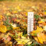 ALERTĂ METEO în România! Cod galben de vânt în șapte județe și ceață densă în mai multe localități