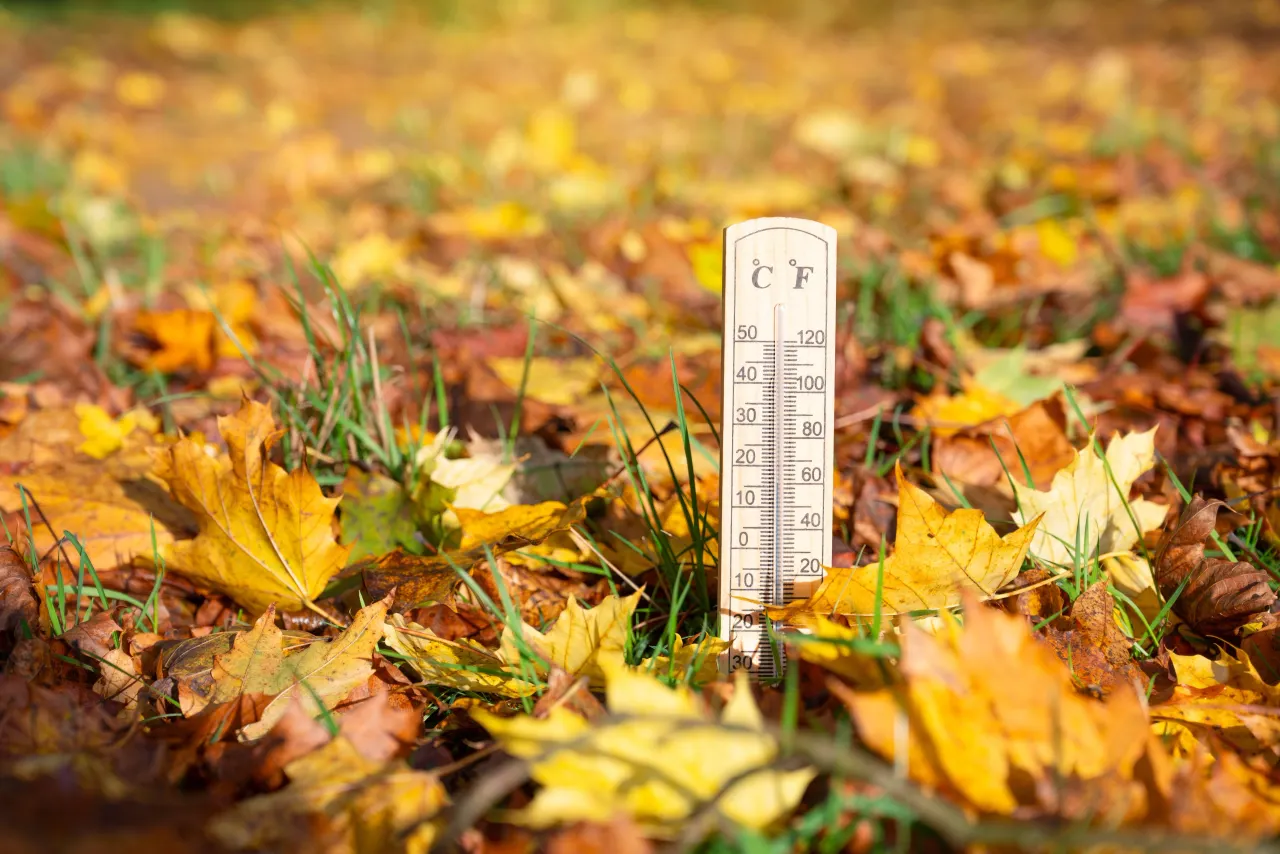 ALERTĂ METEO în România! Cod galben de vânt în șapte județe și ceață densă în mai multe localități