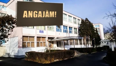 ULTIMĂ  ORĂ! Se fac ANGAJĂRI la o școală din Pitești! POSTURI pe perioadă nedeterminată! Ce condiții trebuie îndeplinite?