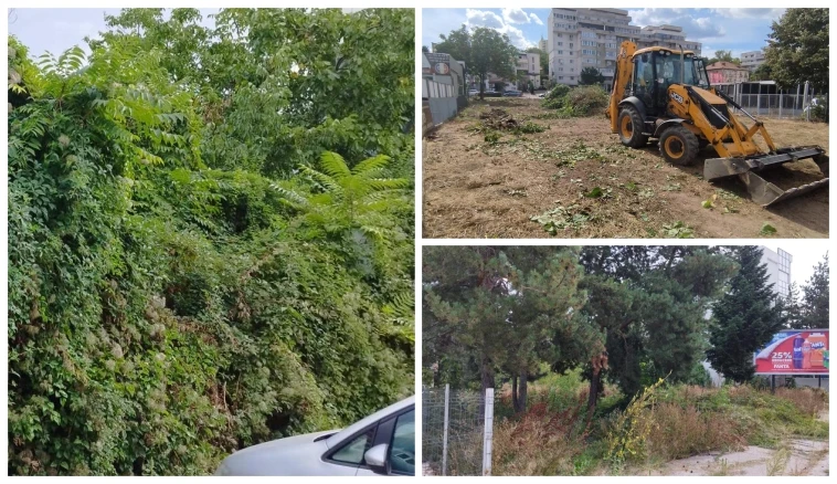 Terenurile neîngrijite din Pitești, luate la verificat! Poliția Locală anunță controale în mai multe zone!