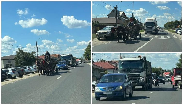 TRAFIC dat peste cap de trei CĂRUȚAȘI pe DRUMUL NAȚIONAL din Ștefănești! Poliția NU îi vede!