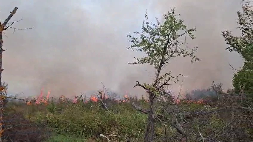 ACUM! INCENDIU DEVASTATOR în ARGEȘ! ARD hectare întregi!