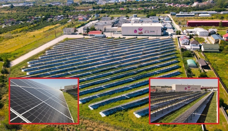 PREMIERĂ! Mii de PANOURI SOLARE, o fabrică URIAȘĂ și un plan ambițios! Ce se întâmplă la CAROLI PITEȘTI?