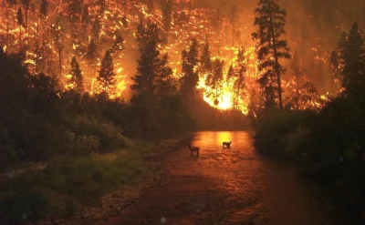 „ALERTĂ! TREI FOCARE DE INCENDIU, ÎN APROPIEREA MĂNĂSTIRII BOIA”