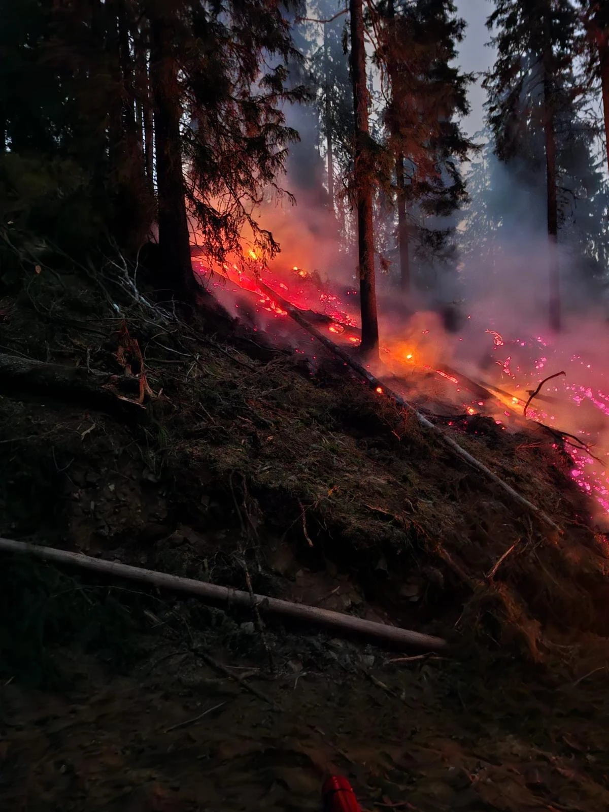ACUM. ALERTĂ în Argeș! INCENDIU VIOLENT în fondul forestier din Nucșoara! Intervenție dificilă pe muntele Drăghina! VIDEO!