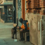 SCANDAL URIAȘ! Un cerșetor apare mereu cu câte un câine inert. Iubitorii de animale cer intervenția urgentă a Poliției!