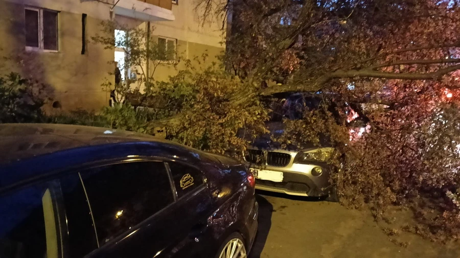 MOMENT DE PANICĂ în Pitești! Copac prăbușit peste două mașini parcate! Pompierii au intervenit de urgență!