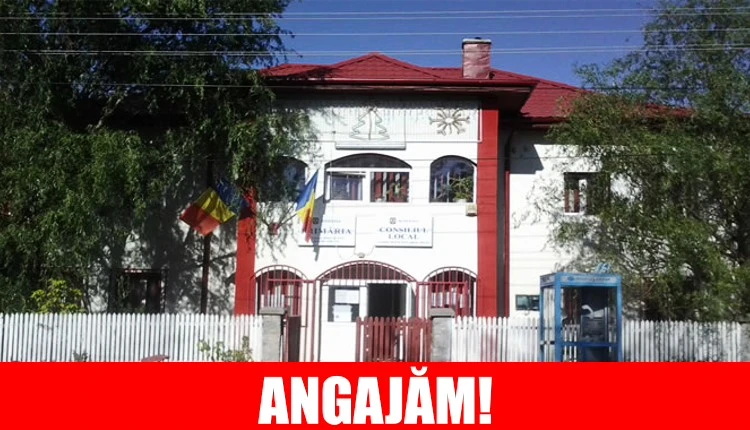ULTIMĂ ORĂ! Primăria Mozăceni ANGAJEAZĂ! Ce POSTURI sunt scoase la CONCURS! 