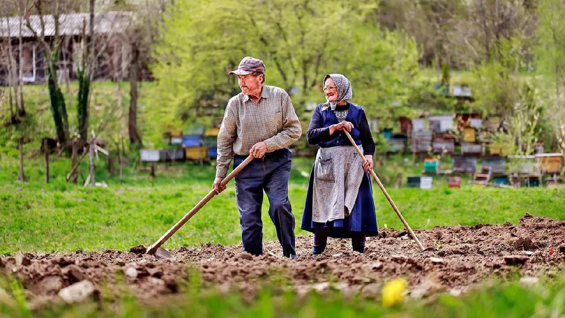 SE SCHIMBĂ VÂRSTA DE PENSIONARE PENTRU FEMEI! CINE IESE LA PENSIE MAI DEVREME ȘI CINE TREBUIE SĂ AȘTEPTE PÂNĂ LA 65 DE ANI. CALENDARUL COMPLET.