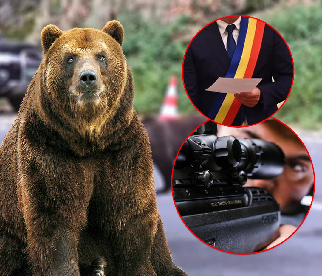 OFICIAL! S-a dat liber la ÎMPUȘCAT de urși! Noua lege le dă PRIMARILOR puteri DECISIVE!